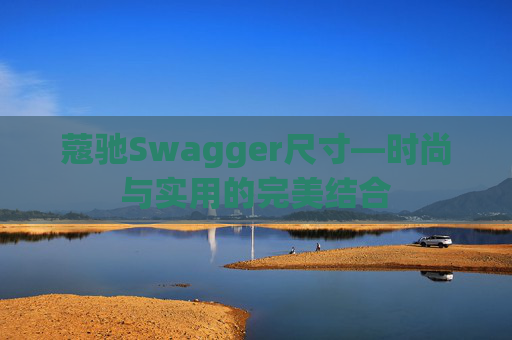 蔻驰Swagger尺寸—时尚与实用的完美结合